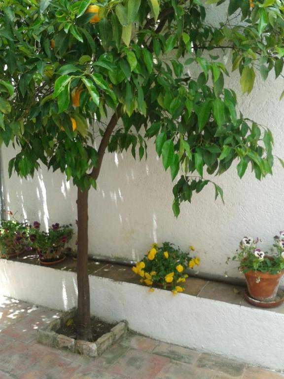 La Casita del Corralon - 3