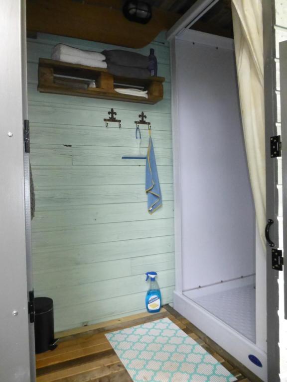 - une porte menant à une chambre avec douche et tapis dans l'établissement Pipowagen Lent, à De Pas