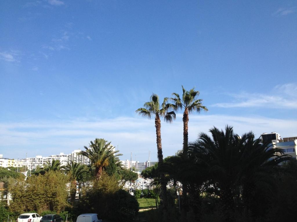 un grupo de palmeras con una ciudad en el fondo en Agréable F3 sur Carnon-plage à 10 mn de Montpellier, en Carnon-Plage