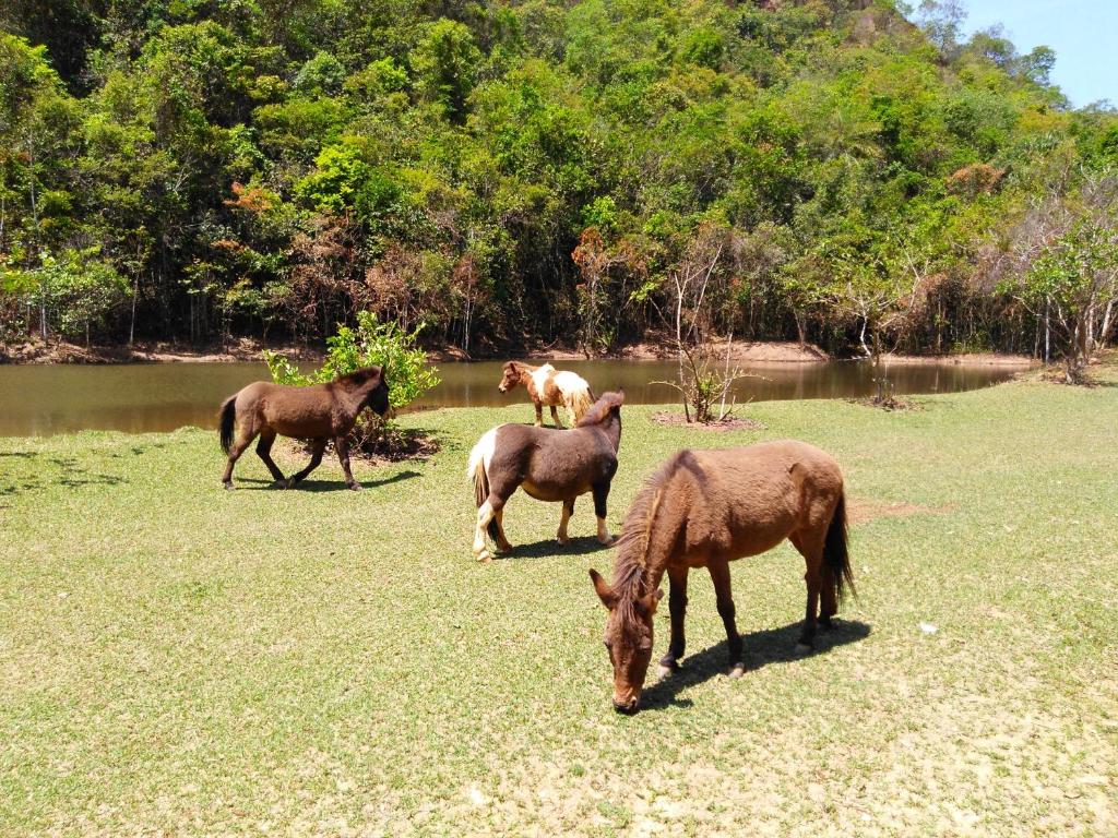  Fazenda Hotel Bem Ecológico