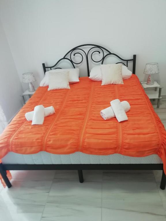 Room Dragica