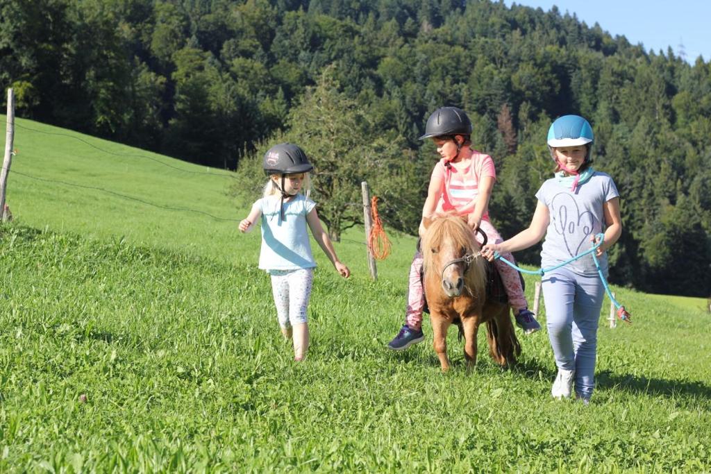 a group of children wearing helmets riding a pony in a field at Bio Ferienbauernhof Greber in Schwarzenberg