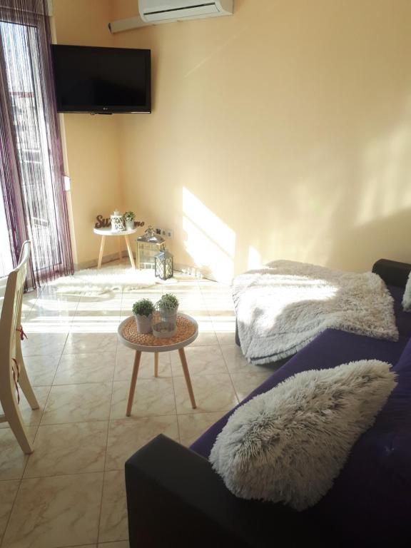 Televízia a/alebo spoločenská miestnosť v ubytovaní Apartman eva