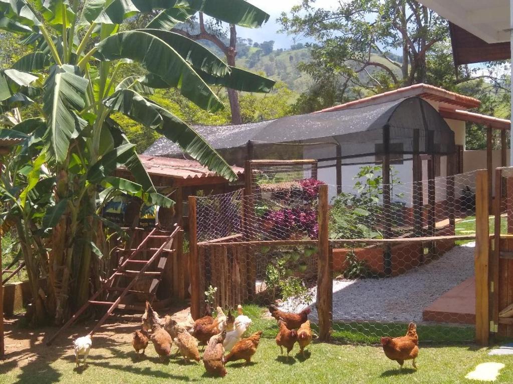  Kit Net Privativa do Sítio