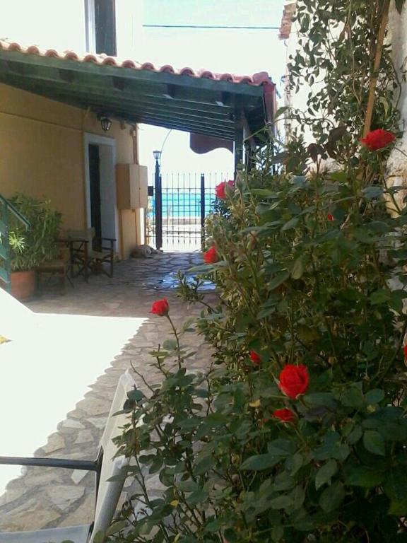 Fotografie z fotogalerie ubytování Meliti Guesthouse v destinaci Akrata