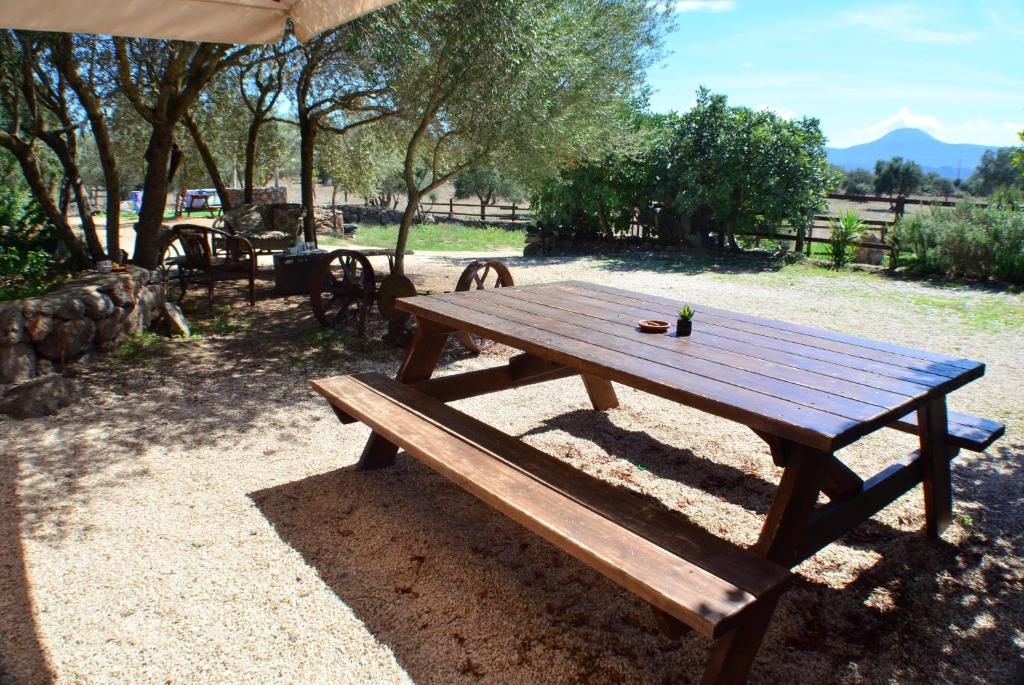 una mesa de picnic de madera sentada bajo una sombrilla en Agriturismo Pira Pinta en Dorgali