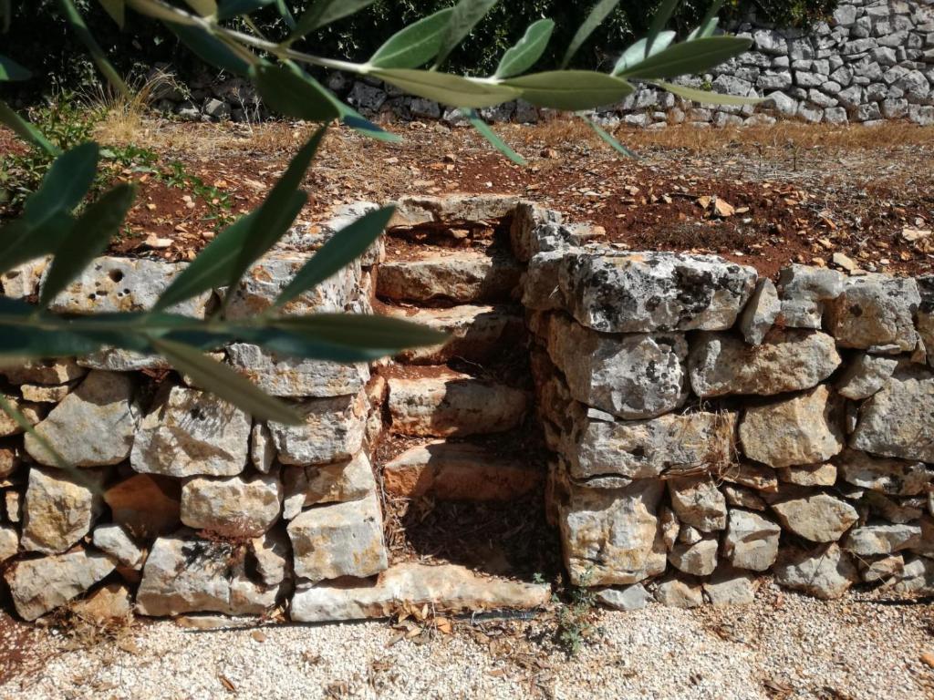 Residenza Di Nonna Giulia - 6