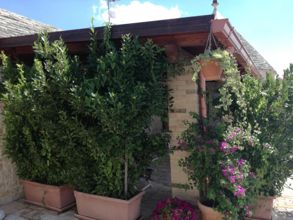 Residenza Di Nonna Giulia - 4