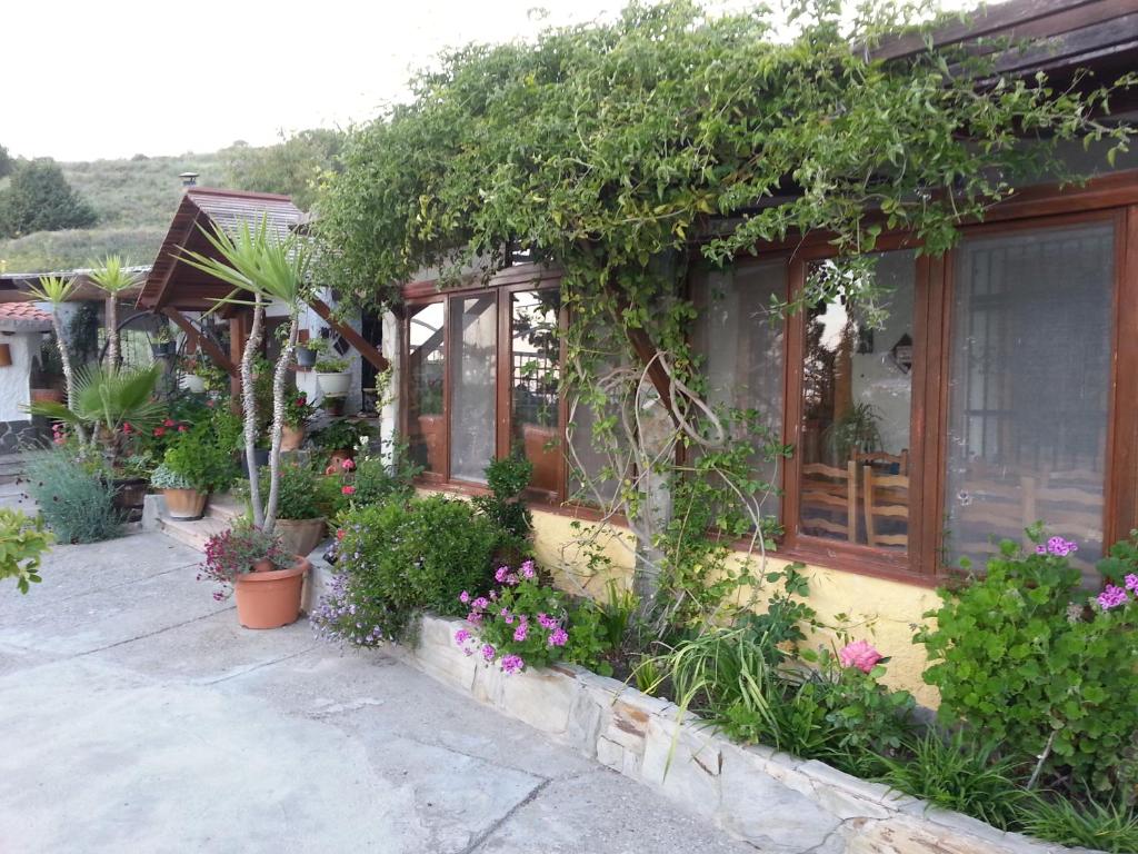 Zahrada ubytování CORTIJO-LA LOMA