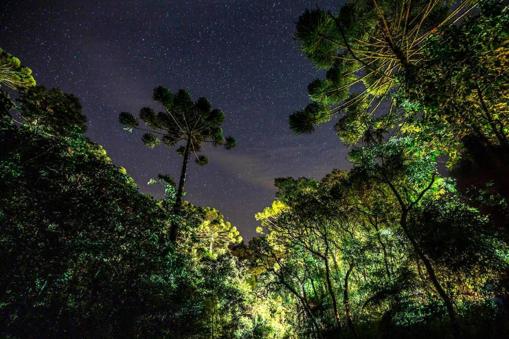 Estalagem Engenho de Serra - Parque Nacional do Itatiaia - Parte Alta