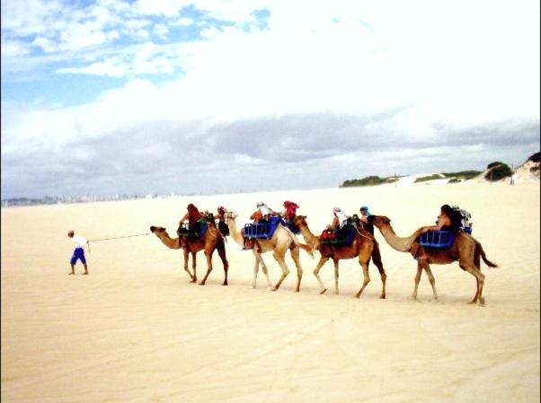  Golden Dunas