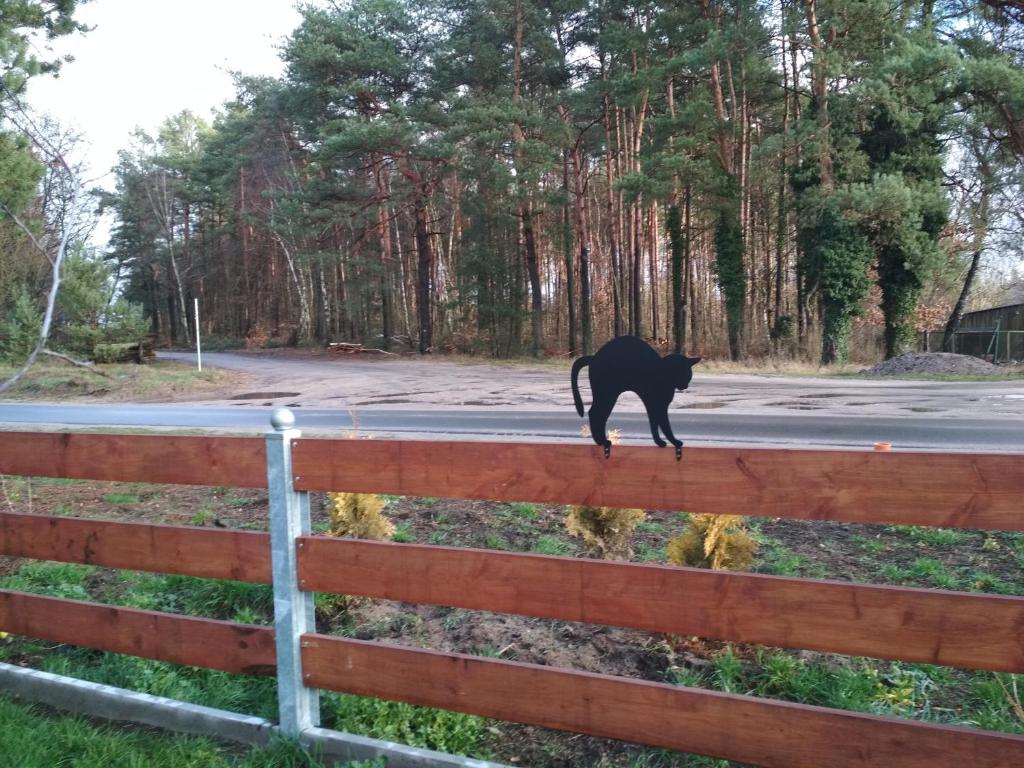Zvieratá na farme alebo blízkom okolí