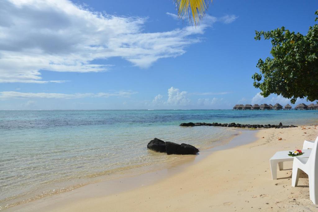 a beach with a bench and the ocean at Fare Maheata in Pihaena