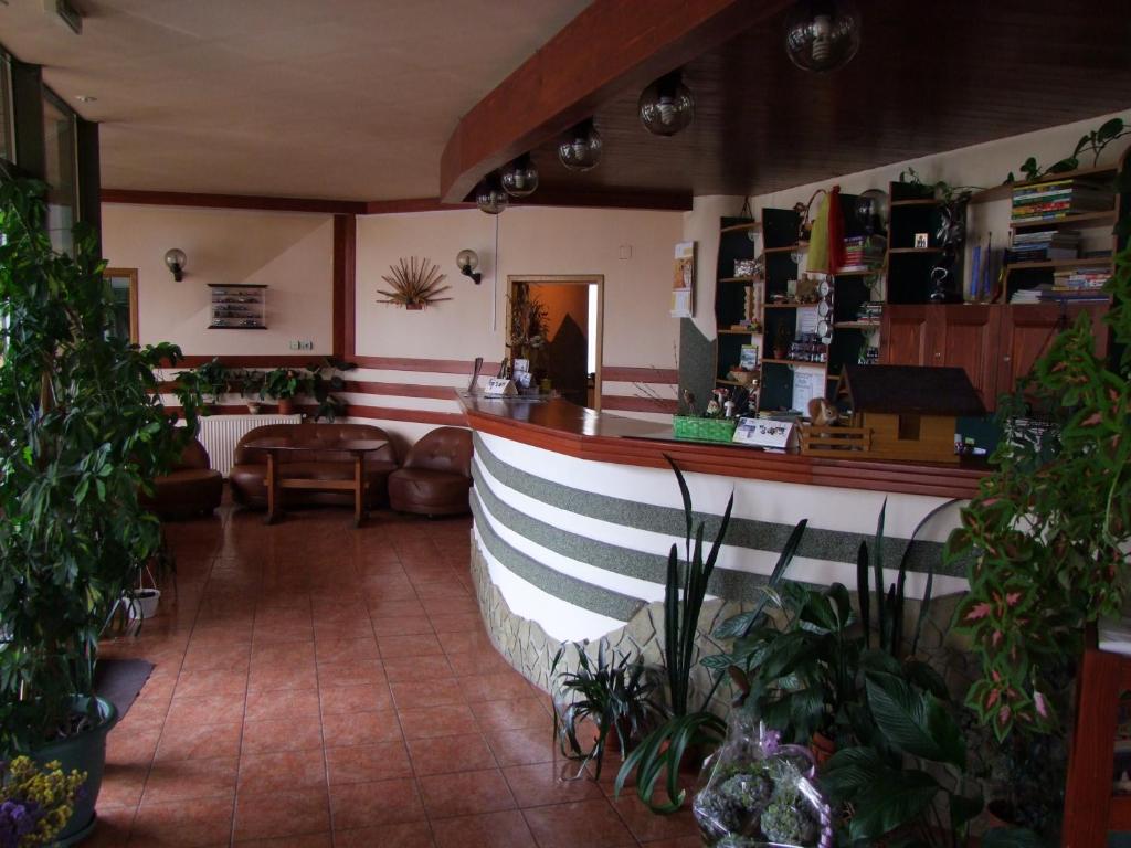 Lounge nebo bar v ubytování Hotel Silva