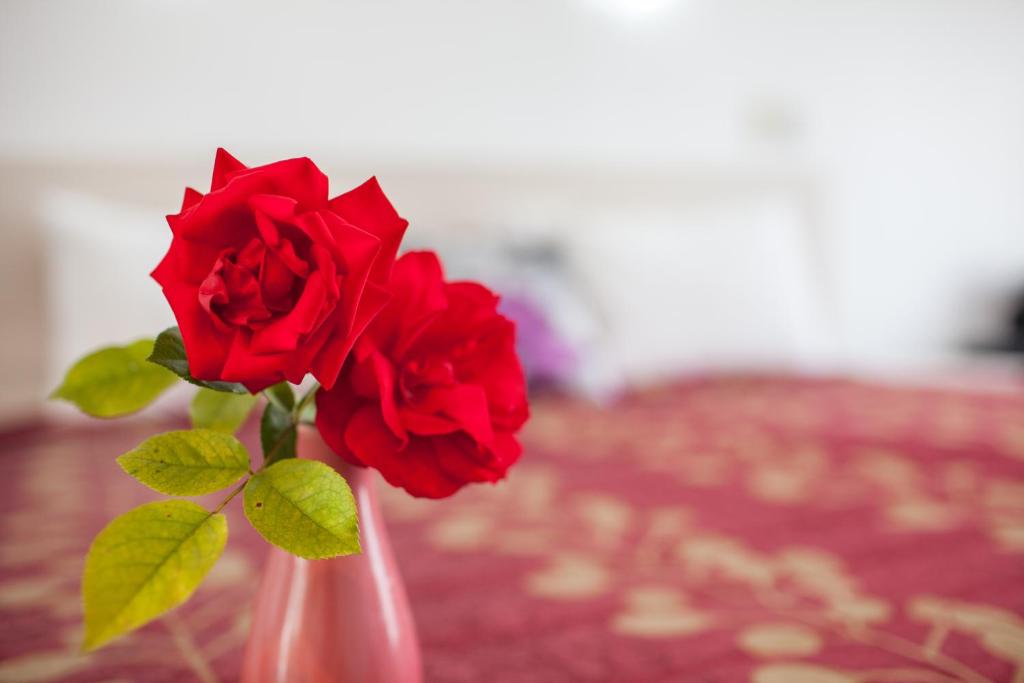 Rose Court Motel - Resim 26