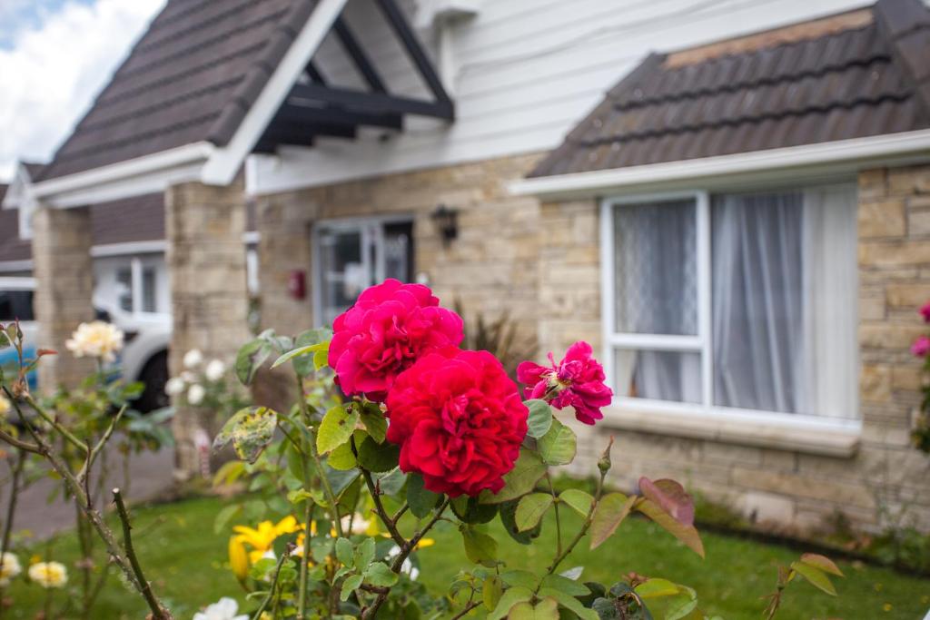 Rose Court Motel - Resim 16