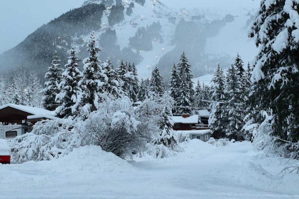 Vail Chalet v zimě