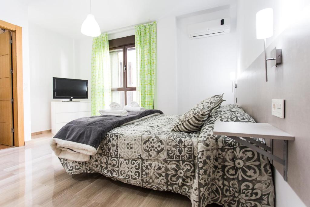 1 dormitorio con 1 cama y TV en C&V Apartamentos - Horno de Marina, en Granada
