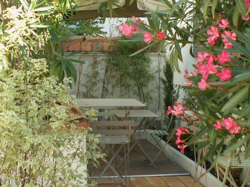 Zahrada ubytování Hôtel Alizé