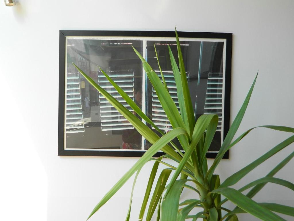 So Athens - Studios and Apartments - Studio Apartment