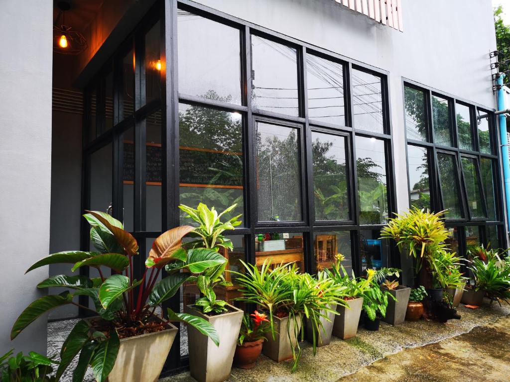 Zahrada ubytování Siri Guesthouse @ Surat Thani