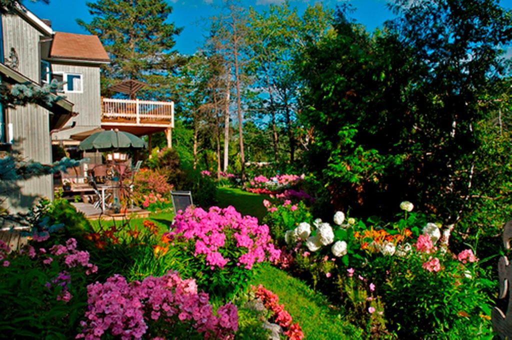 un jardín con flores de colores y una casa en Gîte au Pied du Courant de Gilbert Desjardins, en Mont-Laurier