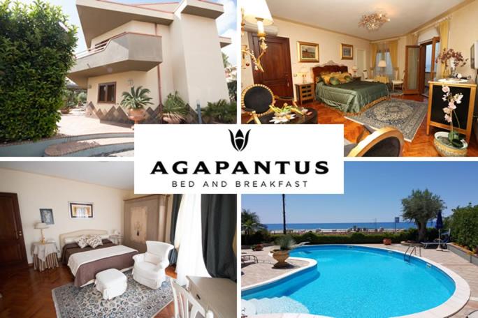 a collage of pictures of a villa with a swimming pool at Agapantus Bed & Breakfast in Diamante