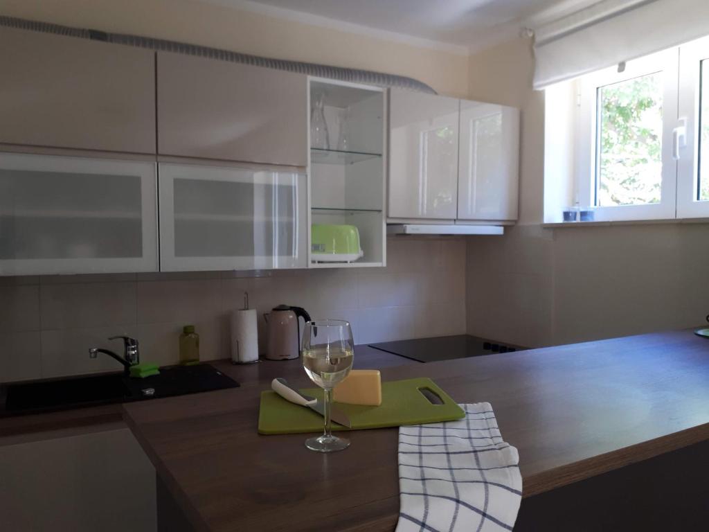 Kuchyňa alebo kuchynka v ubytovaní Apartments Maržić