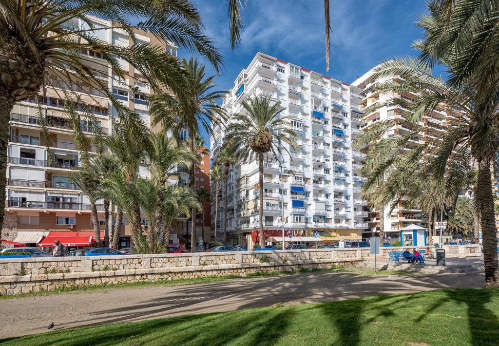 grupa palm przed budynkami w obiekcie Smart Malagueta Seaview w Maladze