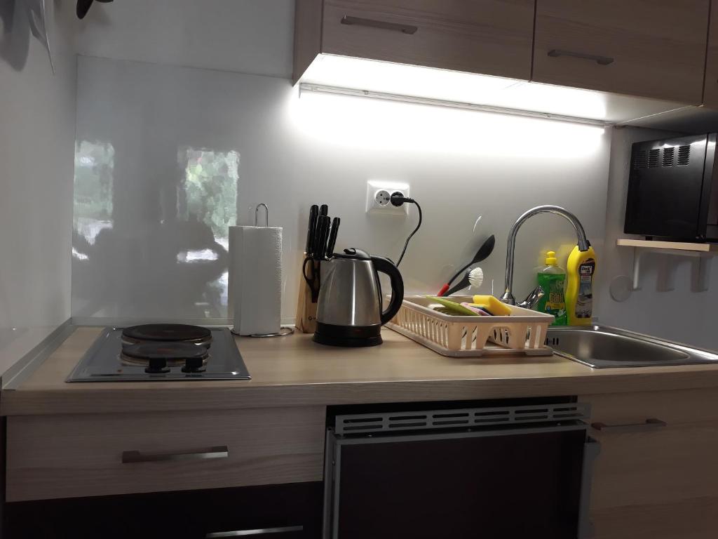 Kuchyňa alebo kuchynka v ubytovaní Apartmani Balažić