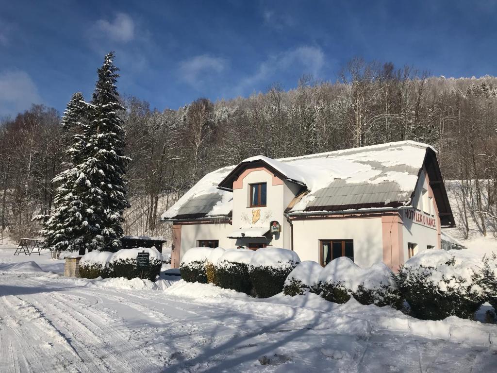 a house covered in snow next to a christmas tree at Hotýlek u Kance in Lipova Lazne
