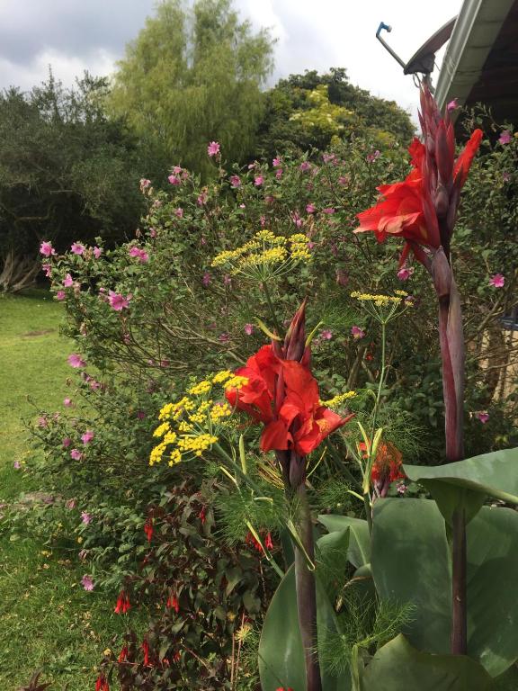 Giardino di Titué Refugio , Cabañas