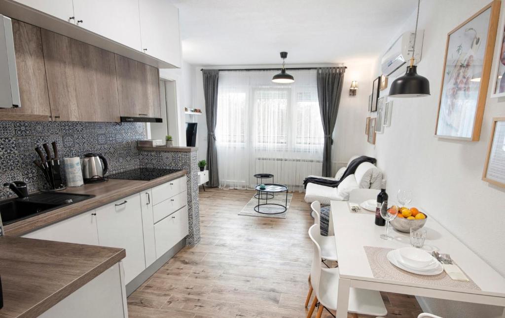 Kuchyň nebo kuchyňský kout v ubytování L&L Leisure Apartments Plitvice