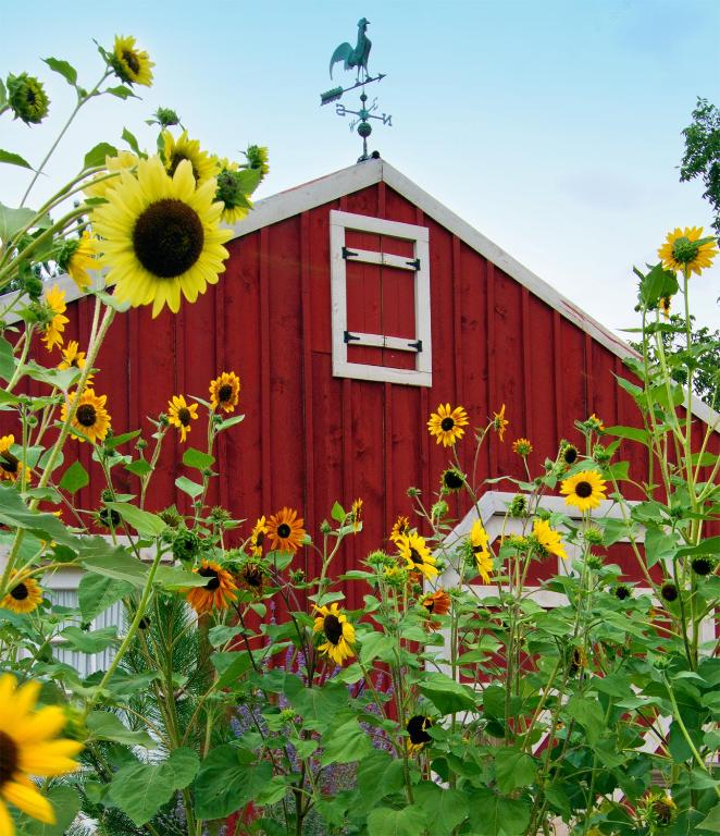 Fotografie z fotogalerie ubytování Sunflower Hill Inn v destinaci Moab
