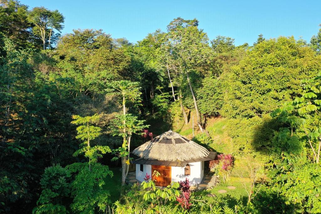 Zahrada ubytování Paradiselodge Casa Romantica