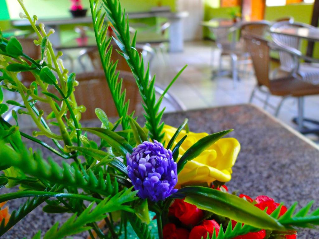  Green Porto Hotel