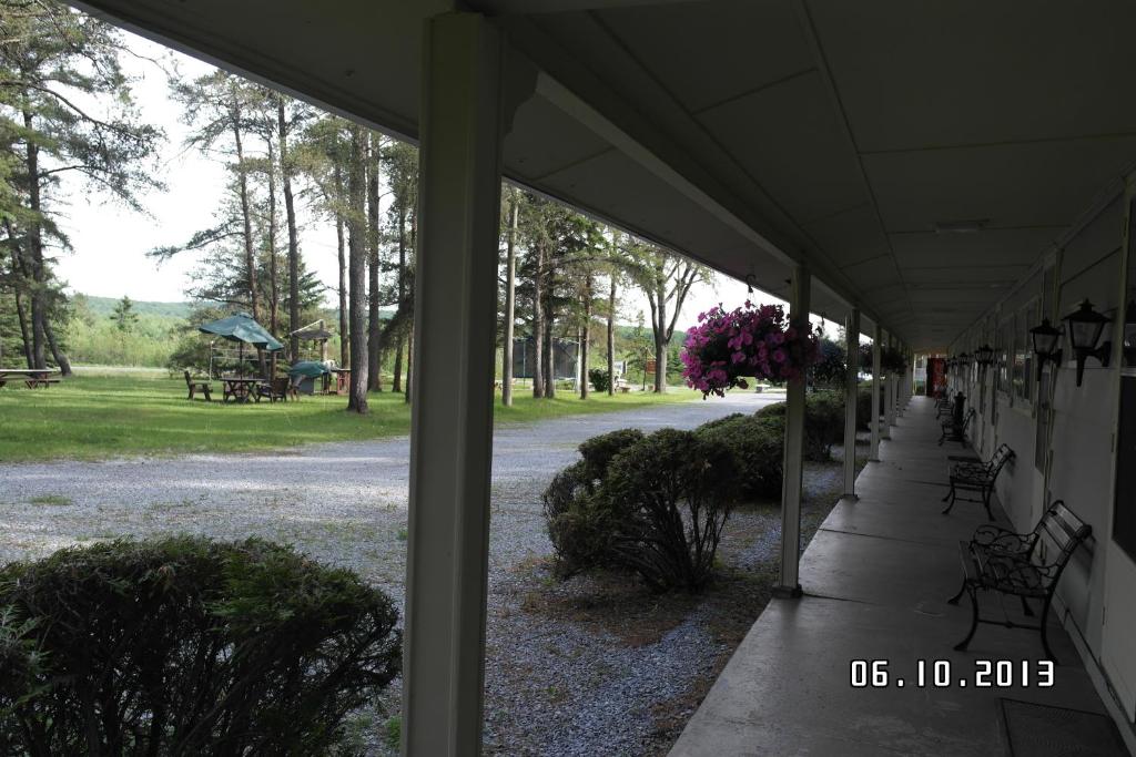 Zahrada ubytování Pinecone Motel