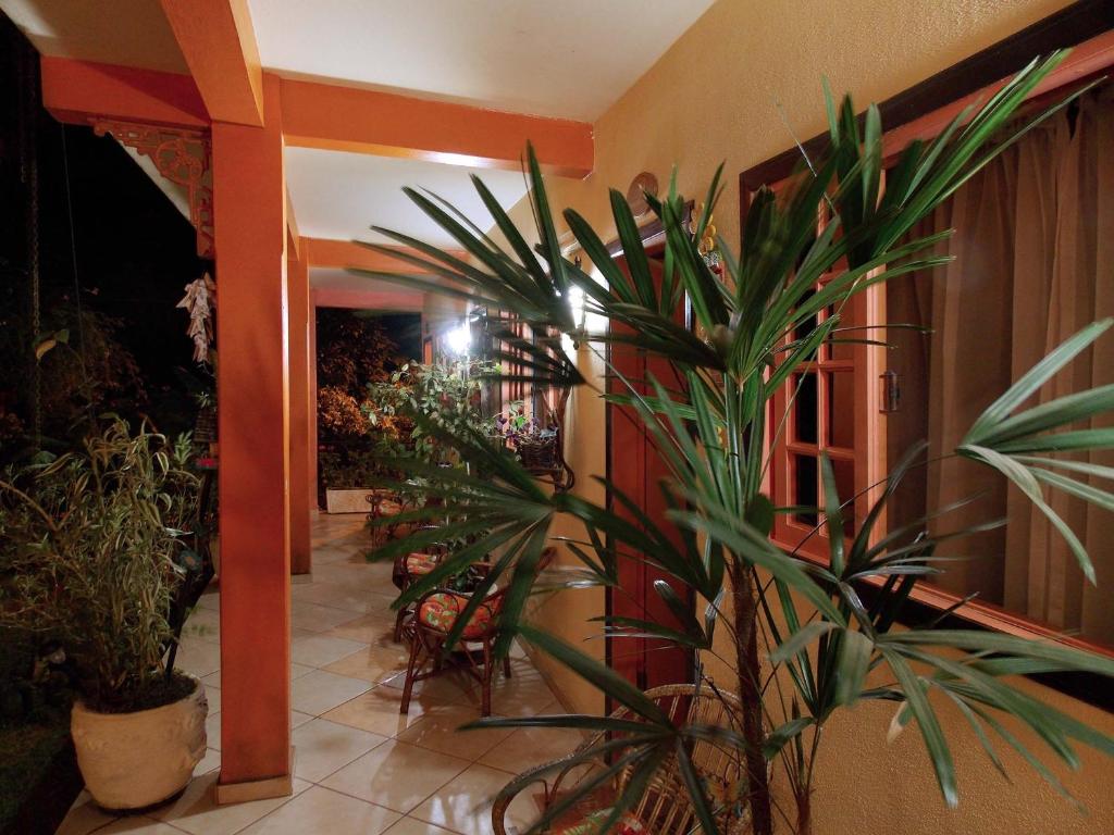 a hallway with a palm tree in a building at Portal dos Borbas in Abraão