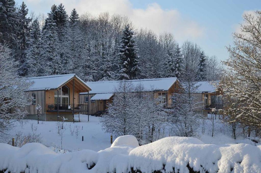 a log cabin in the snow with snow covered trees at FrongaHOF in Waldkirchen