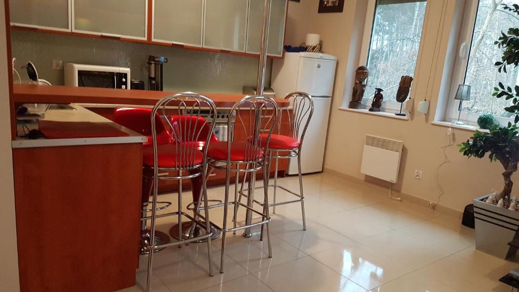Kuchnia lub aneks kuchenny w obiekcie Apartament Maria