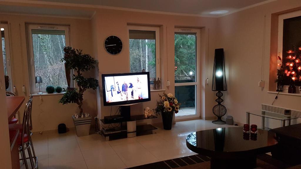 Telewizja i/lub zestaw kina domowego w obiekcie Apartament Maria