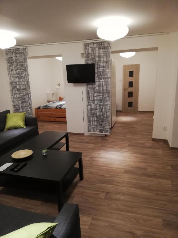 TV a/nebo společenská místnost v ubytování Apartmány pod Divadlem