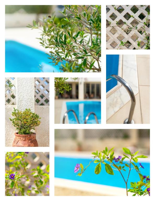 Zahrada ubytování Hiona Holiday Hotel