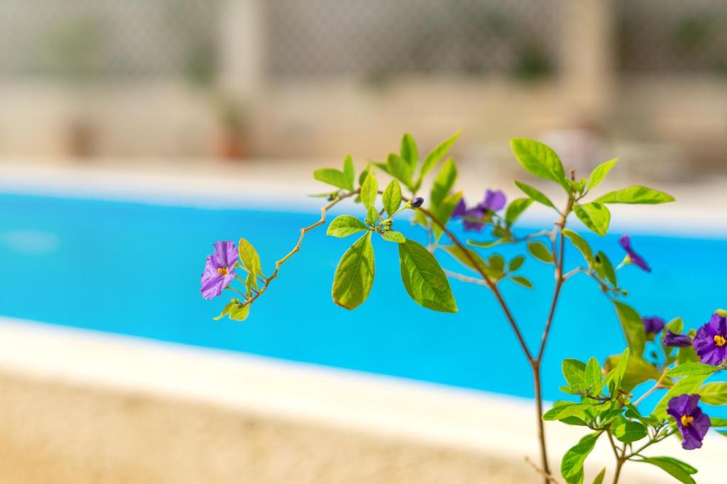 Bazén v ubytování Hiona Holiday Hotel nebo v jeho okolí