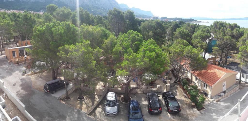 Příroda nedaleko apartmánu