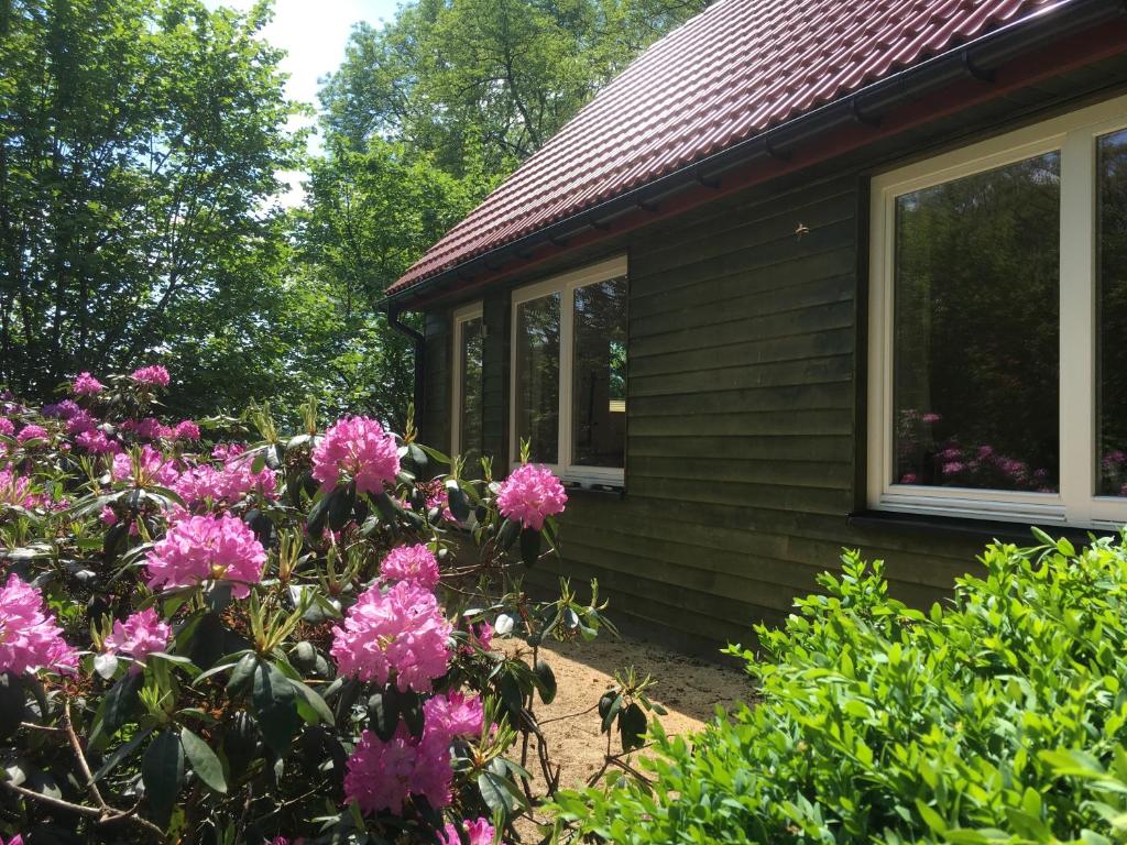 Ferienhof Ohlenbusch - Holiday Home