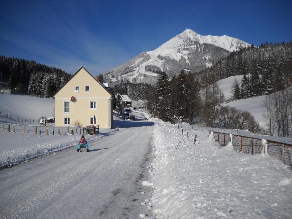 a person skiing down a snow covered road with a house at Ferienwohnung Bluemelhube Wohnung Anja in Vordernberg