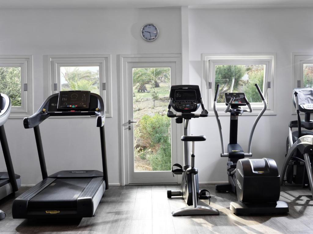 Posilňovňa alebo fitness centrum v ubytovaní Myconian Naia - Preferred Hotels & Resorts