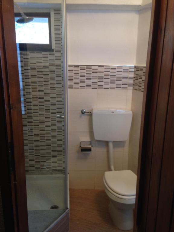 a small bathroom with a toilet and a shower at il Magàn - Cinque Terre in Corniglia