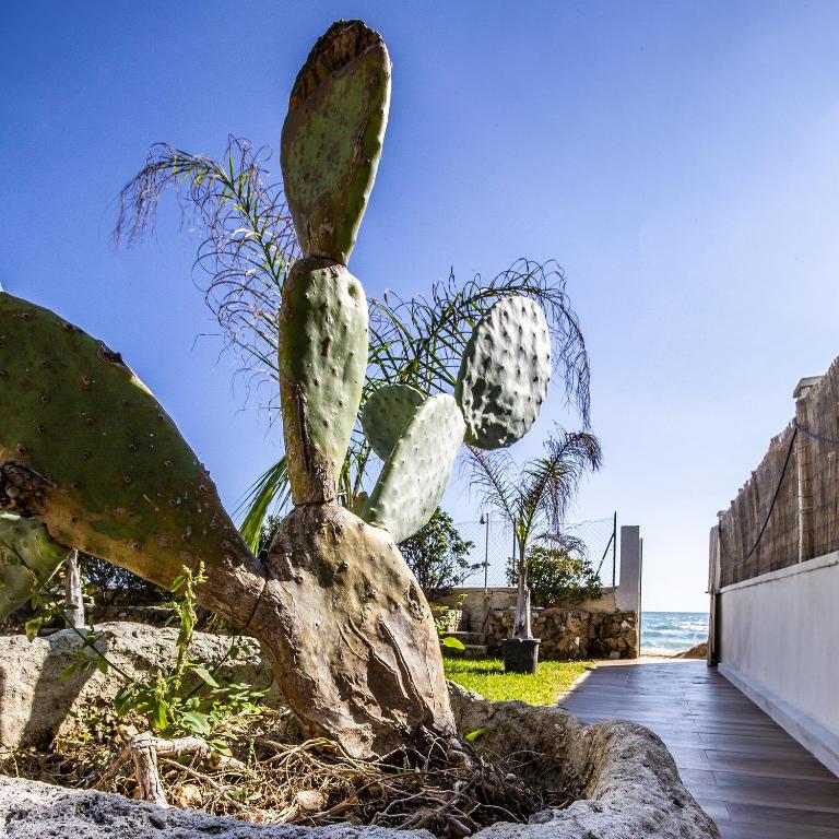 a cactus sculpture on the beach near the ocean at Villa Ammari in Avola